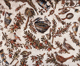 unswept floor
